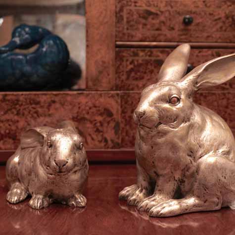 Japanese silver rabbits.